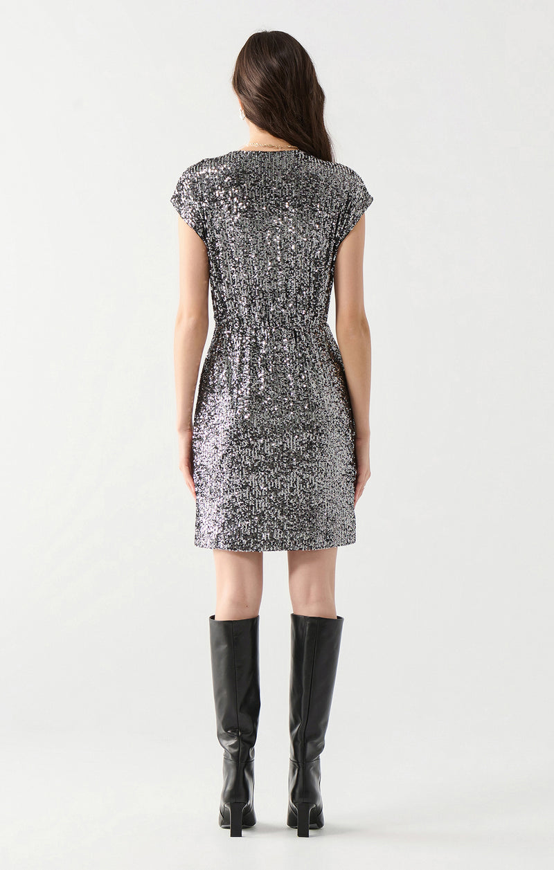 DEX- Sequin Pewter Dress